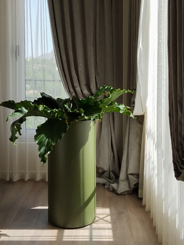 گیاهان لوکس