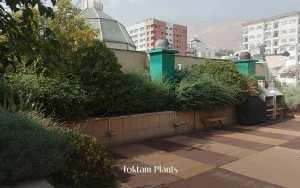 1200.1600 – آجودانیهآجودانیه 2