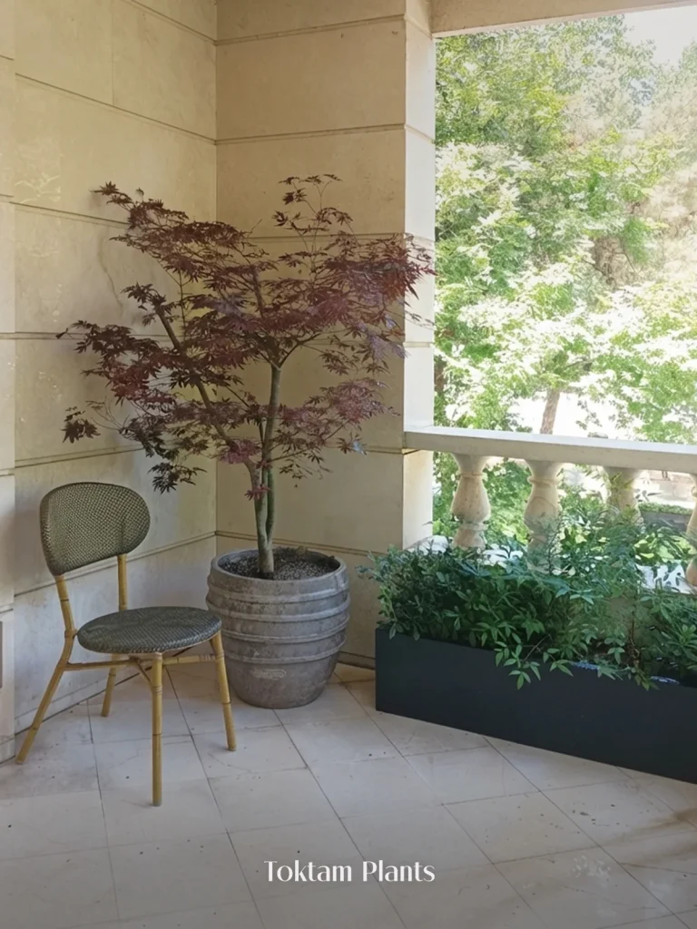 1200.1600 – سایرتوکلی زاده