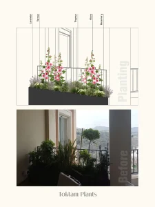 Untitled-1نوید تراس 7