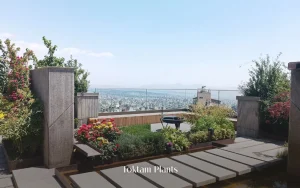 روف گاردن مجمع مسکونی